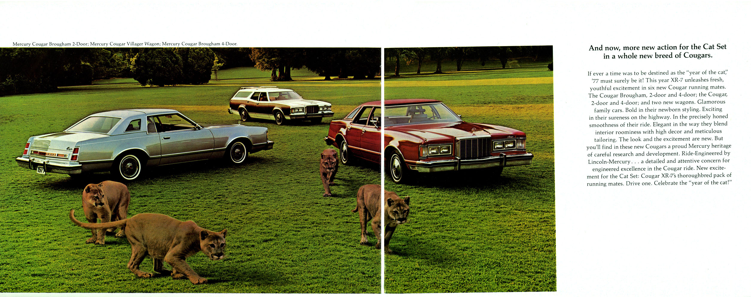 1977 Mercury Cougar Brochure Page 1